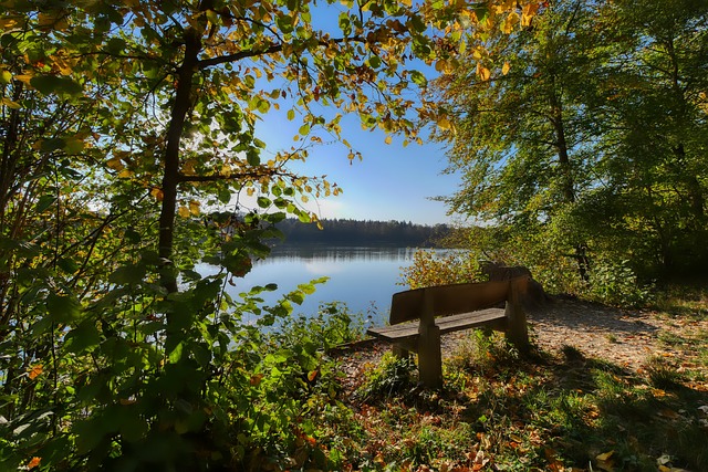 重视度拉满，美加墨三国领导人均出席2026世界杯抽签仪式